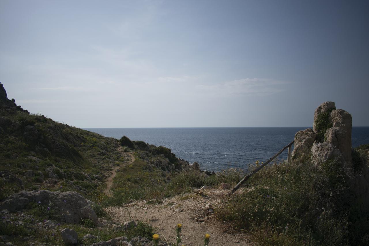 Case Cala Bucerno Castelluzzo Eksteriør bilde